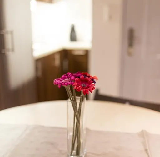 Elisabeth Bridge Apartmans *